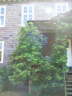 RIMG0636